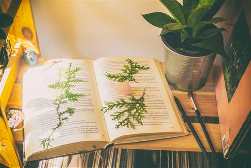Tử vi tuần mới của 12 cung hoàng đạo (23/12 - 29/12/2019): Kim Ngưu nóng vội, Thiên Bình phiền não