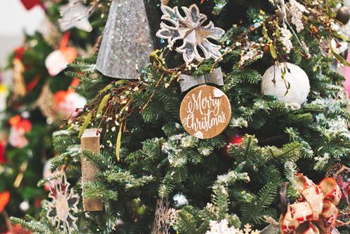 Tử vi tuần mới từ 23 - 29/12/2019 của 12 con giáp: Dậu tình buồn, Tuất khó khăn
