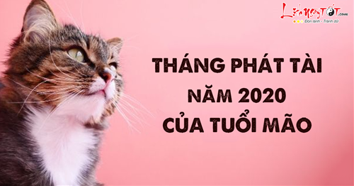 Năm 2020 tuổi Mão nhất định phát tài vào những tháng này, tiền nhiều tiêu không xuể
