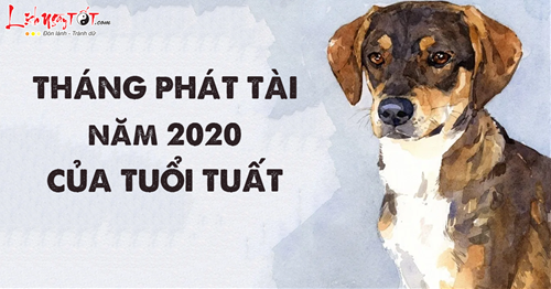 Tuổi Tuất năm 2020 kiếm tiền như hái trong những tháng này