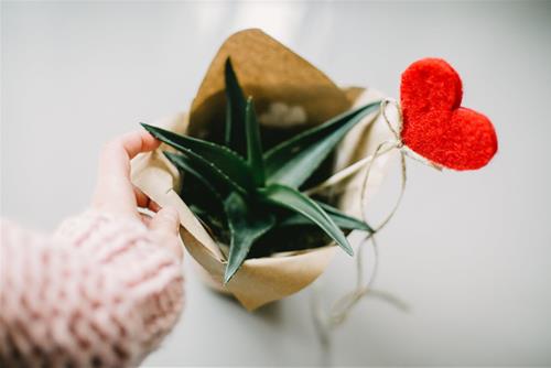 Tử vi hàng ngày 12/12/2019 về tình yêu của 12 con giáp: Ai vượng đào hoa nhất?