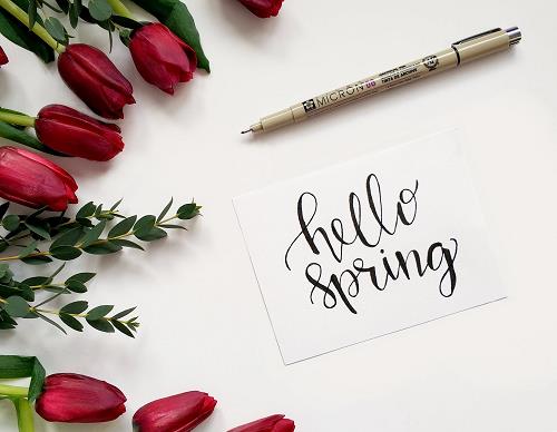 Tử vi thứ 2 ngày 25/2/2019 của 12 con giáp: Ngọ vượng đào hoa, Tuất làm hết sức mình