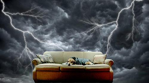 Vận hạn 12 con giáp tháng 3/2019 dương lịch: Thìn bị lừa gạt, Dậu thất vọng với đời