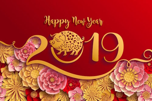 Chuyên gia tử vi dự đoán tài lộc, vận mệnh 12 con giáp năm 2019