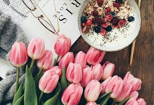 Tử vi tuần mới của 12 con giáp 1-7/4/2019: Tý an nhàn, Hợi lắm ý tưởng