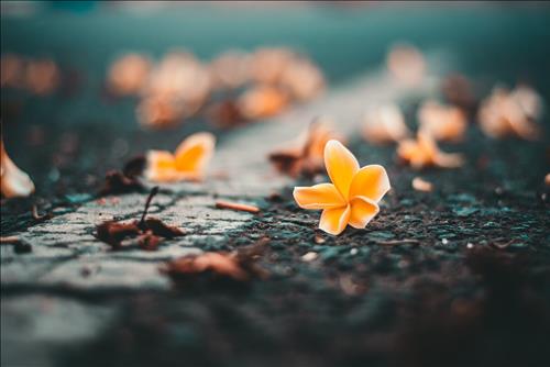 Tử vi tuần mới của 12 cung hoàng đạo (Tuần từ 18/3-24/3/2019): Thiên Bình vướng thị phi, Bảo Bình hấp tấp