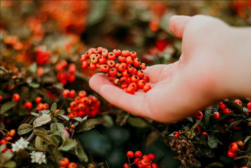 Tử vi Thứ 4 ngày 20/3/2019 của 12 cung hoàng đạo: Sư Tử dễ mất tiền, Nhân Mã không ngừng cố gắng