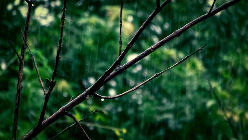 Mệnh Thiên Hà Thủy là gì? Họ có số mệnh ra sao? Hợp và khắc mệnh nào?