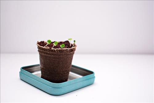 Tử vi hàng ngày 2/5/2019 về tài lộc: Tý rủng rỉnh tiền, Thìn tiêu nhiều