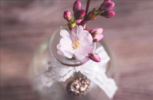 Tử vi thứ 5 ngày 9/5/2019 của 12 con giáp: Ngọ nên im lặng, Mùi lạc quan