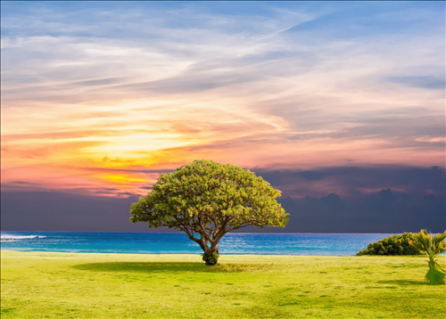 Tử vi Thứ 4 ngày 22/5/2019 của 12 cung hoàng đạo: Kim Ngưu vượng duyên, Song Tử chán nản