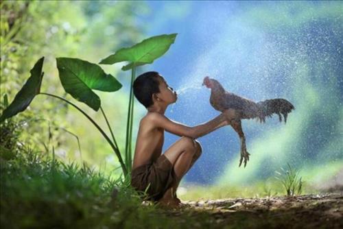 Tử vi Thứ 5 ngày 30/5/2019 của 12 cung hoàng đạo: Sư Tử bế tắc, Ma Kết bất cẩn