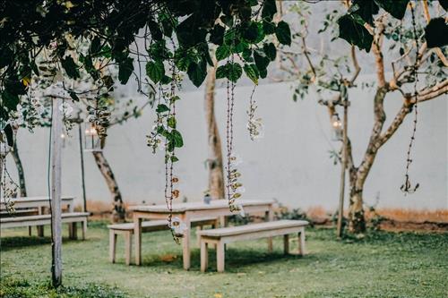 Tử vi Chủ nhật ngày 2/6/2019 của 12 cung hoàng đạo: Xử Nữ buồn bã, Nhân Mã tự tin