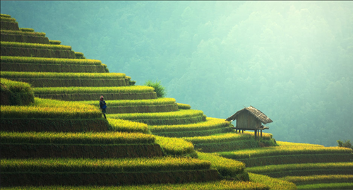 Tử vi thứ 2 ngày 3/6/2019 của 12 con giáp: Tý tổn thương, Hợi gặp rắc rối