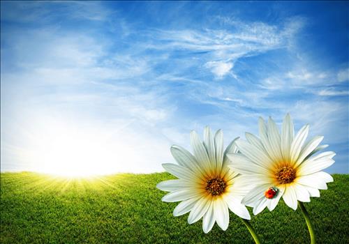 Tử vi Thứ 7 ngày 11/5/2019 của 12 cung hoàng đạo: Kim Ngưu đam mê, Bảo Bình thích so sánh