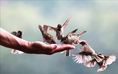 Top những cái tên bằng Tiếng Anh mang nghĩa thánh thiện, cát lành