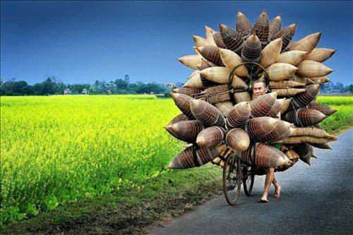 Tử vi Thứ 5 ngày 27/6/2019 của 12 cung hoàng đạo: Bạch Dương may mắn, Bảo Bình vội vã