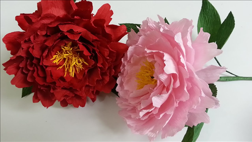 Tử vi thứ 6 ngày 21/6/2019 của 12 con giáp: Thìn kém may, Hợi được tin tưởng