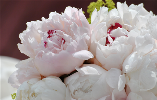 Tử vi Chủ nhật ngày 23/6/2019 của 12 con giáp: Tý mất duyên, Hợi chủ động