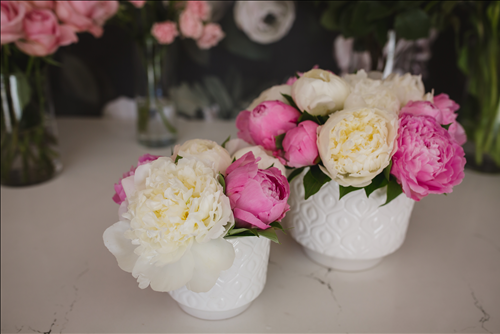 Tử vi tuần mới từ 1 – 7/7/2019 của 12 con giáp: Sửu giàu sang, Dần bất ngờ