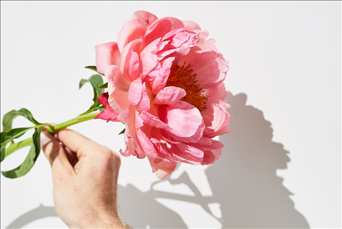 Tử vi Thứ 4 ngày 3/7/2019 của 12 cung hoàng đạo: Kim Ngưu bất mãn, Sư Tử nỗ lực