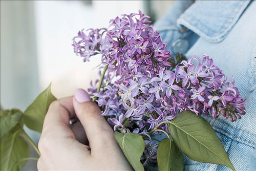 Tử vi thứ 5 ngày 11/7/2019 của 12 con giáp: Tị muốn yêu, Hợi vui vẻ