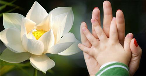 Bật mí top cung hoàng đạo luôn được Đức Phật ban phước lành