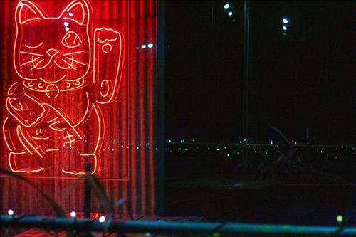 Tử vi hàng ngày 8/6/2019 về may rủi của 12 con giáp: Mỗi người sẽ gặp điều may mắn gì?