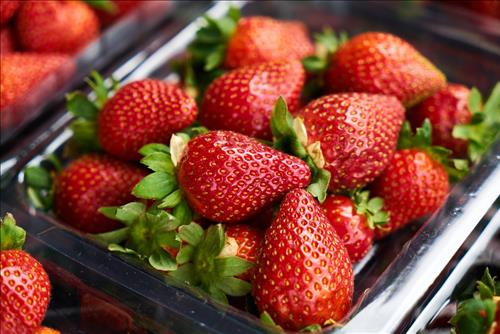 Tử vi thứ 6 ngày 2/8/2019 của 12 cung hoàng đạo: Song Tử lười, Xử Nữ thận trọng