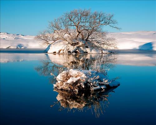 Tử vi Thứ 2 ngày 19/8/2019 của 12 cung hoàng đạo: Nhân Mã ủ rũ, Thiên Bình khép kín