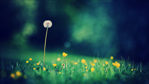 Tử vi thứ 6 ngày 30/8/2019 của 12 con giáp: Thân khó tính, Hợi tự ti