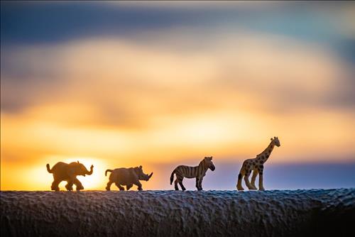 Tử vi thứ 2 ngày 23/9/2019 của 12 con giáp: Sửu bị chèn ép, Thìn được tin tưởng