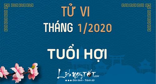Tử vi tháng 1/2020 tuổi Hợi Âm lịch: Dễ nóng giận, tiêu pha nhiều