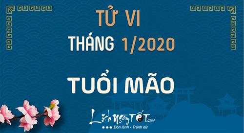 Tử vi tháng 1/2020 tuổi Mão Âm lịch: Tâm trạng bất ổn, nhiều trở ngại