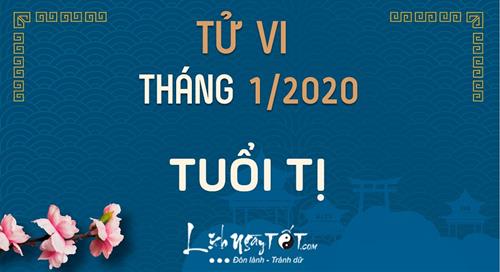 Tử vi tháng 1/2020 tuổi Tị Âm lịch: Cuộc sống êm đềm, công sức được ghi nhận