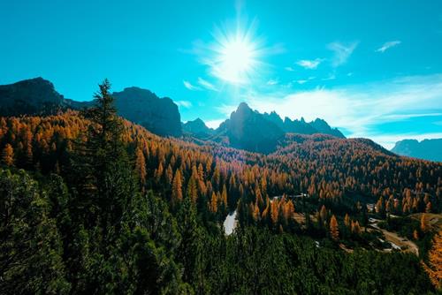 Tử vi thứ 3 ngày 11/2/2020 của 12 con giáp: Ngọ thất vọng, Dậu được giúp