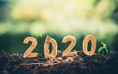Tử vi thứ 7 ngày 25/1/2020 của 12 con giáp: Ngày đầu năm, tuổi Sửu sung túc