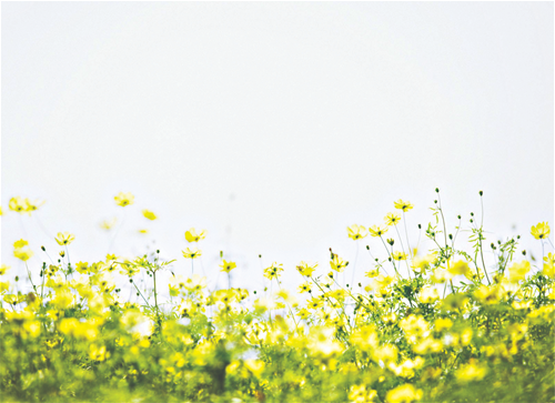 Tử vi Chủ nhật ngày 2/2/2020 của 12 con giáp: Thân tổn thương, Dần căng thẳng