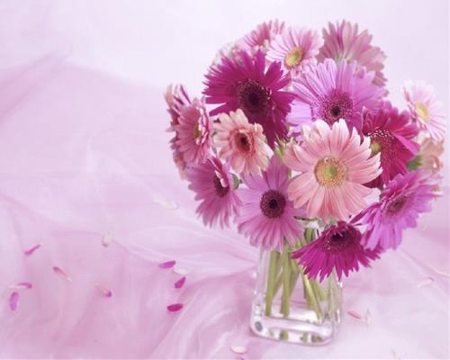 Tử vi Thứ 4 ngày 22/1/2020 của 12 cung hoàng đạo: Ma Kết kém may, Song Tử nắm thời cơ