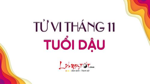 Tử vi tháng 11/2020 tuổi Dậu Âm lịch: Nhớ tập trung phát triển trí tuệ chờ ngày được tỏa sáng