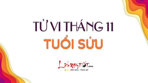 Tử vi tháng 11/2020 tuổi Sửu Âm lịch: Vượng duyên nhưng cuộc sống không có gì bứt phá