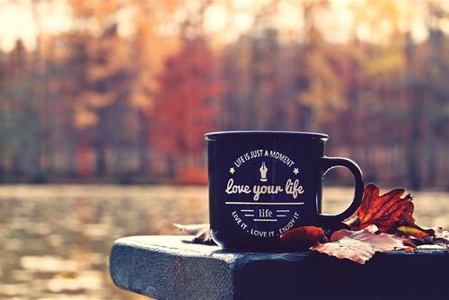 Tử vi thứ 7 ngày 31/10/2020 của 12 cung hoàng đạo: Nhân Mã bất an, Hố Cáp bướng bỉnh