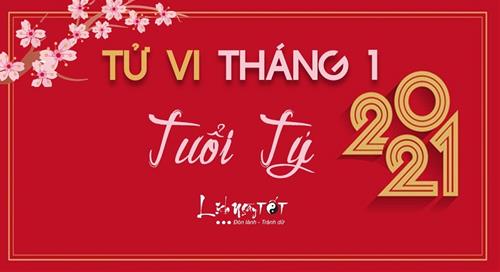 Tử vi tháng 1/2021 tuổi Tý âm lịch: Dư âm ăn chơi vẫn còn, chưa chú tâm cần thiết