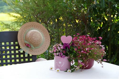 Tử vi thứ 7 ngày 5/12/2020 của 12 cung hoàng đạo: Sư Tử nhạy cảm, Song Ngư hạnh phúc