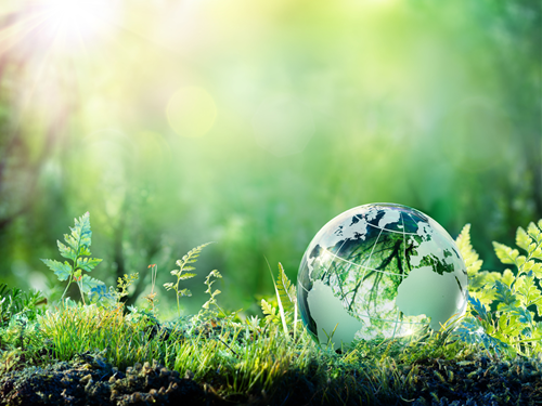 Tử vi thứ 4 ngày 19/2/2020 của 12 con giáp: Dậu có quý nhân, Dần nhiều tài lộc