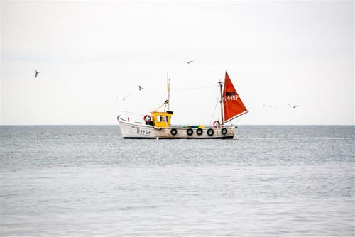 Tử vi thứ 6 ngày 28/2/2020 của 12 con giáp: Mùi buồn phiền, Hợi phân tâm