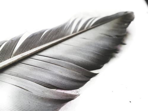 Tử vi thứ 2 ngày 9/3/2020 của 12 con giáp: Tuất cần cố gắng, Mùi đạt mục tiêu