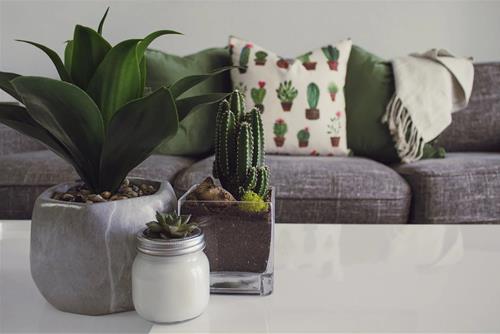 Những con giáp biết sáng tạo không gian sống để những ngày ở nhà không hề nhàm chán