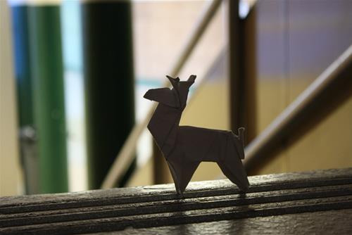 Tử vi tuần mới của 12 cung hoàng đạo (4/5-10/5/2020): Thiên Bình khoan dung, Nhân Mã tận hưởng