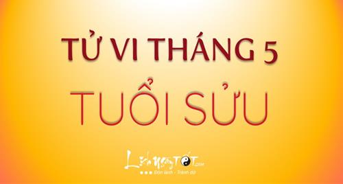 Tử vi tháng 5/2020 tuổi Sửu âm lịch: Kém may mắn về tiền bạc và sức khỏe